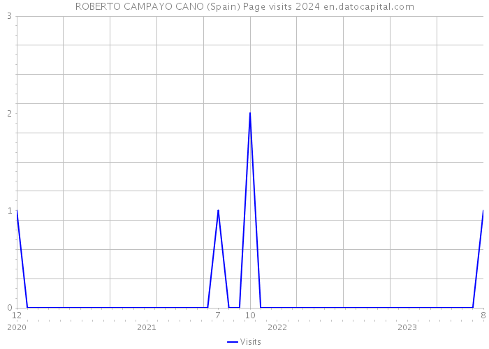 ROBERTO CAMPAYO CANO (Spain) Page visits 2024 