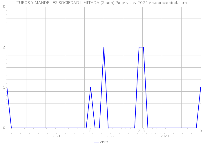 TUBOS Y MANDRILES SOCIEDAD LIMITADA (Spain) Page visits 2024 