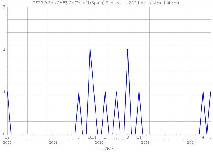 PEDRO SANCHEZ CATALAN (Spain) Page visits 2024 