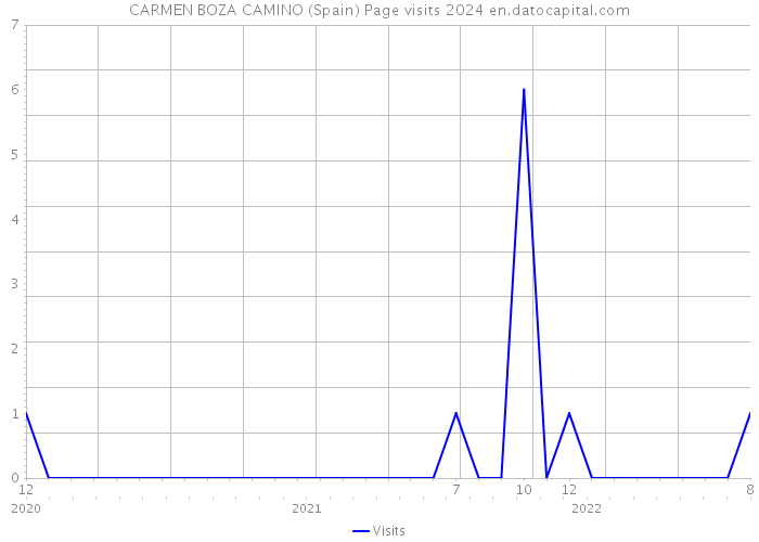 CARMEN BOZA CAMINO (Spain) Page visits 2024 