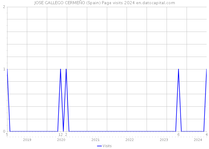 JOSE GALLEGO CERMEÑO (Spain) Page visits 2024 