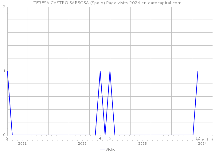 TERESA CASTRO BARBOSA (Spain) Page visits 2024 