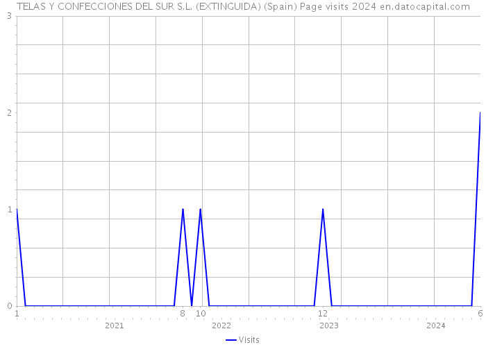 TELAS Y CONFECCIONES DEL SUR S.L. (EXTINGUIDA) (Spain) Page visits 2024 