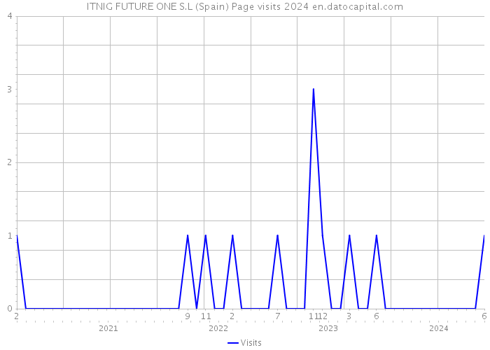 ITNIG FUTURE ONE S.L (Spain) Page visits 2024 