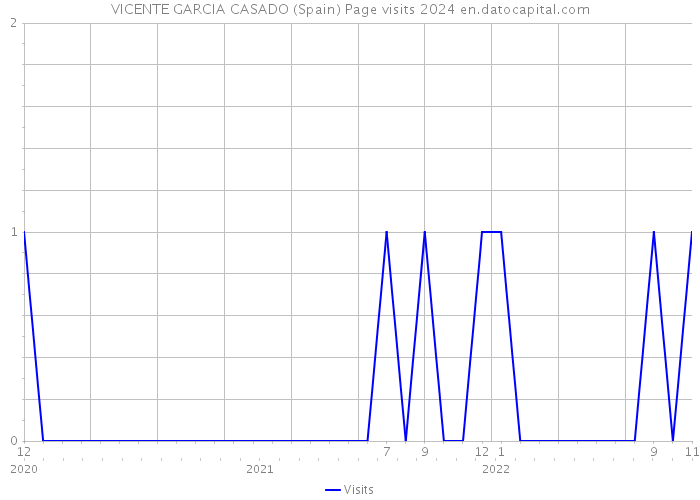 VICENTE GARCIA CASADO (Spain) Page visits 2024 