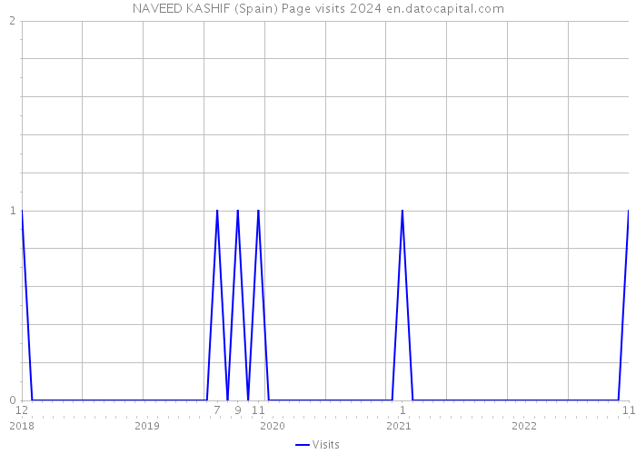 NAVEED KASHIF (Spain) Page visits 2024 