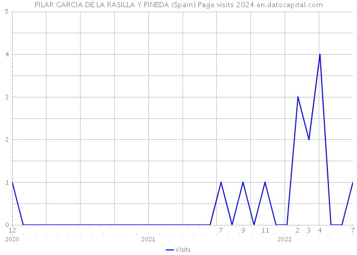 PILAR GARCIA DE LA RASILLA Y PINEDA (Spain) Page visits 2024 