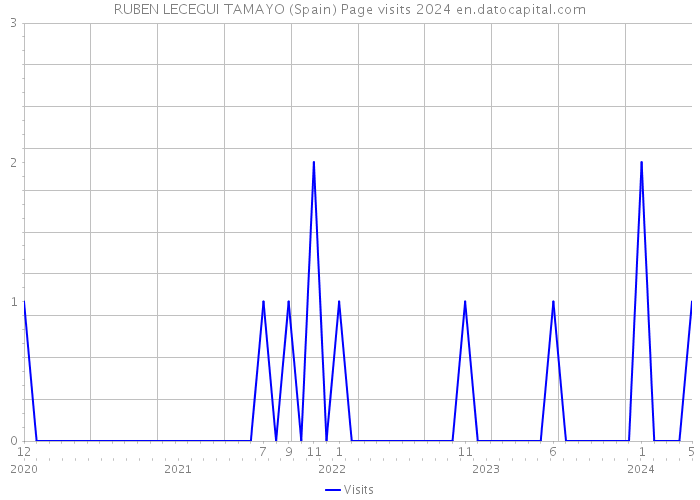 RUBEN LECEGUI TAMAYO (Spain) Page visits 2024 