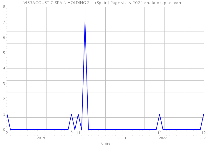 VIBRACOUSTIC SPAIN HOLDING S.L. (Spain) Page visits 2024 