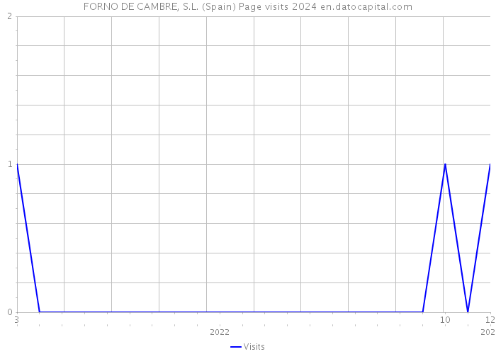 FORNO DE CAMBRE, S.L. (Spain) Page visits 2024 