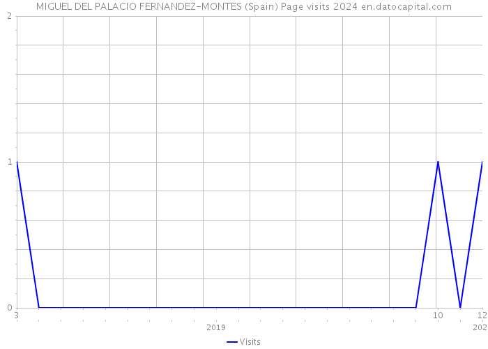 MIGUEL DEL PALACIO FERNANDEZ-MONTES (Spain) Page visits 2024 