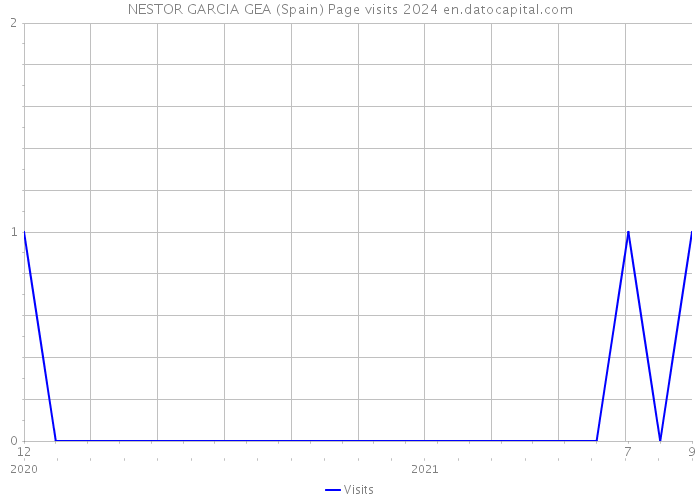 NESTOR GARCIA GEA (Spain) Page visits 2024 