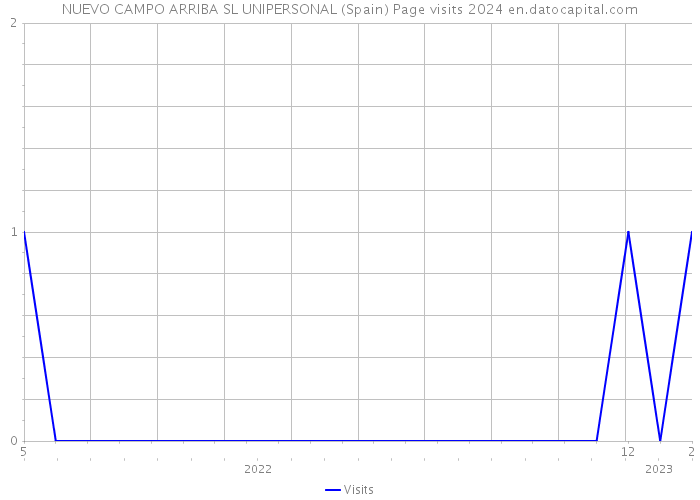 NUEVO CAMPO ARRIBA SL UNIPERSONAL (Spain) Page visits 2024 