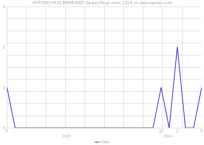 ANTONIO RUIZ BERMUDEZ (Spain) Page visits 2024 