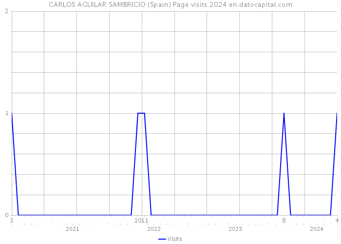 CARLOS AGUILAR SAMBRICIO (Spain) Page visits 2024 