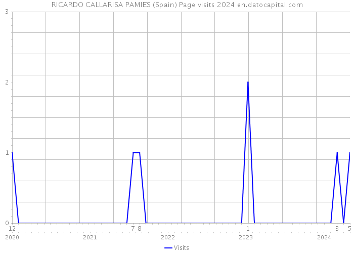 RICARDO CALLARISA PAMIES (Spain) Page visits 2024 