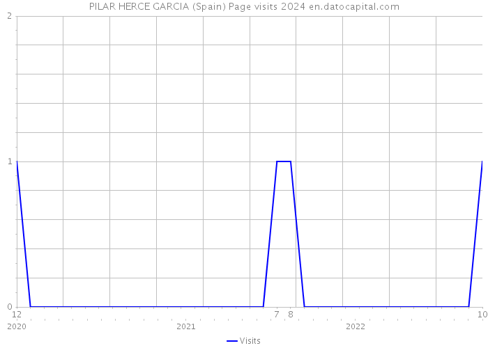 PILAR HERCE GARCIA (Spain) Page visits 2024 