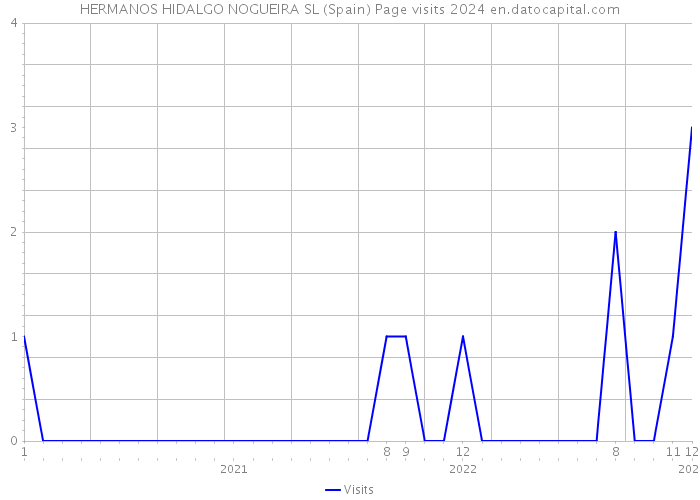 HERMANOS HIDALGO NOGUEIRA SL (Spain) Page visits 2024 