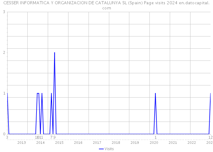 CESSER INFORMATICA Y ORGANIZACION DE CATALUNYA SL (Spain) Page visits 2024 