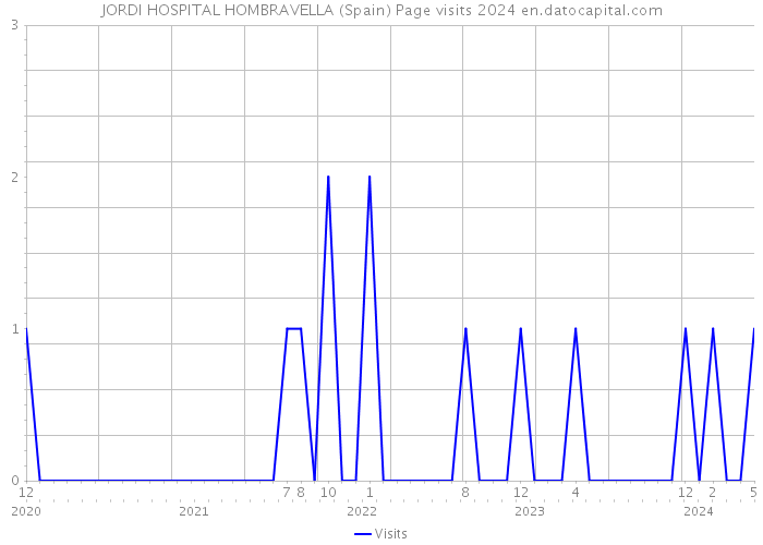 JORDI HOSPITAL HOMBRAVELLA (Spain) Page visits 2024 