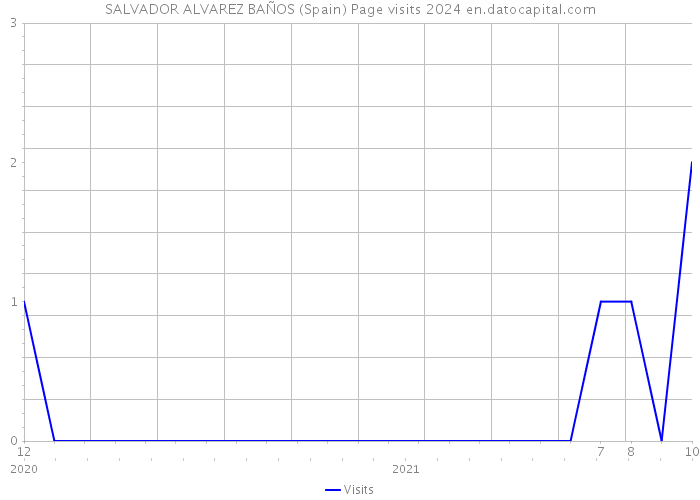 SALVADOR ALVAREZ BAÑOS (Spain) Page visits 2024 