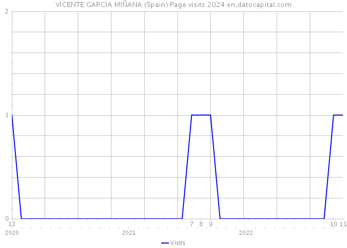 VICENTE GARCIA MIÑANA (Spain) Page visits 2024 