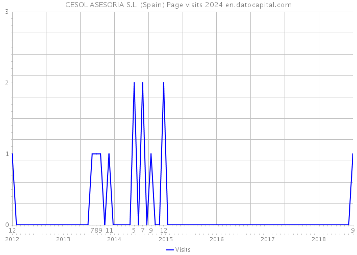 CESOL ASESORIA S.L. (Spain) Page visits 2024 