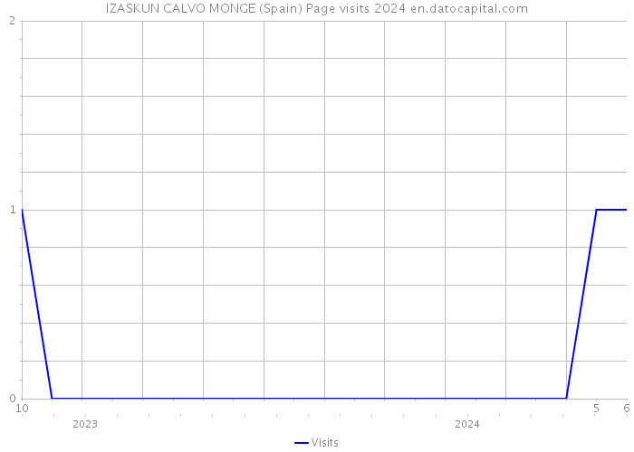 IZASKUN CALVO MONGE (Spain) Page visits 2024 