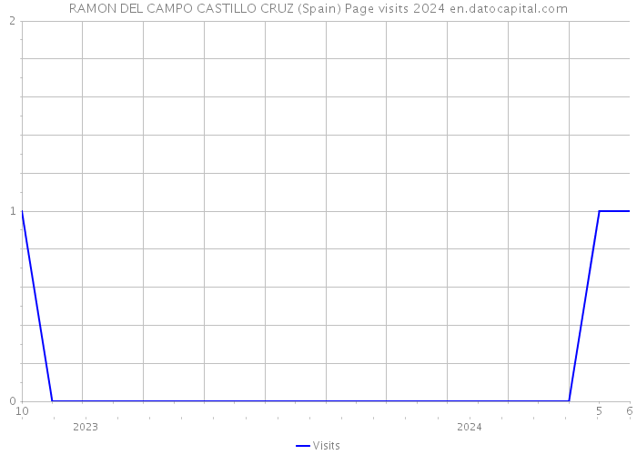 RAMON DEL CAMPO CASTILLO CRUZ (Spain) Page visits 2024 