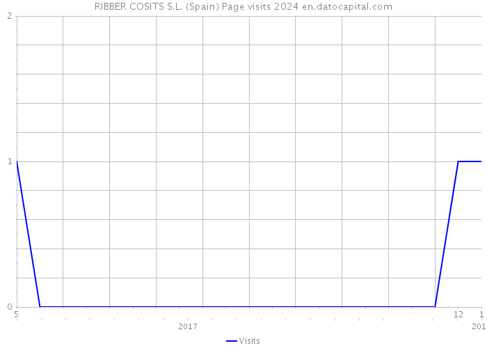 RIBBER COSITS S.L. (Spain) Page visits 2024 