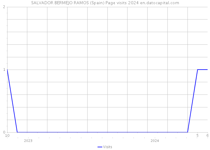 SALVADOR BERMEJO RAMOS (Spain) Page visits 2024 