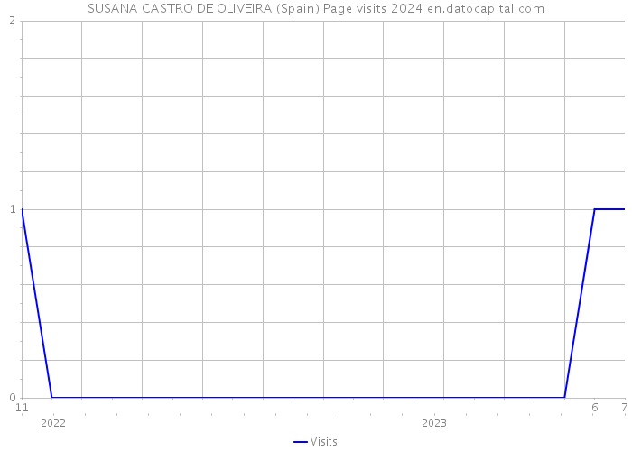 SUSANA CASTRO DE OLIVEIRA (Spain) Page visits 2024 
