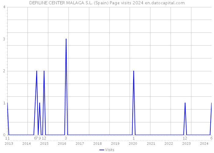 DEPILINE CENTER MALAGA S.L. (Spain) Page visits 2024 