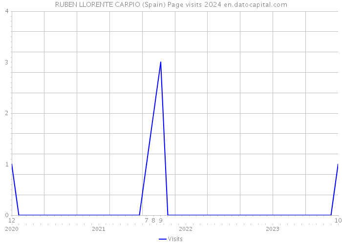 RUBEN LLORENTE CARPIO (Spain) Page visits 2024 