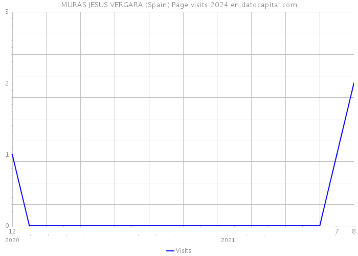 MURAS JESUS VERGARA (Spain) Page visits 2024 