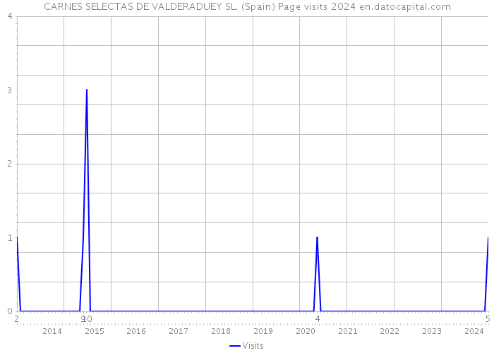 CARNES SELECTAS DE VALDERADUEY SL. (Spain) Page visits 2024 