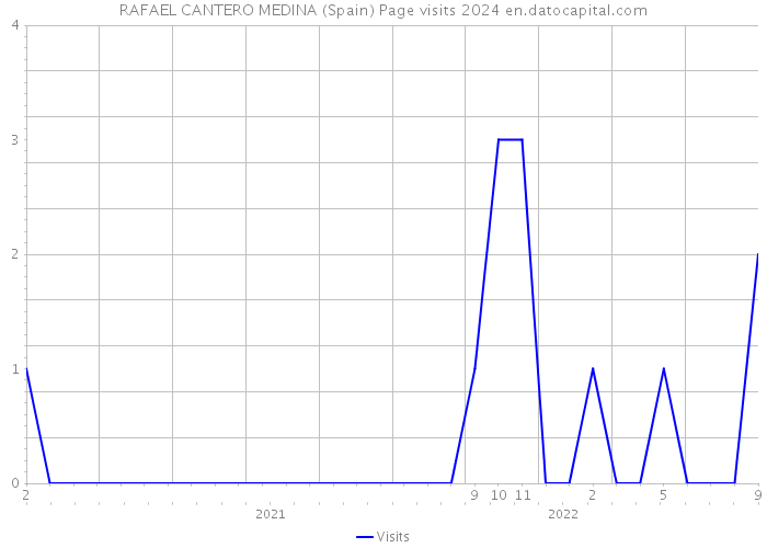 RAFAEL CANTERO MEDINA (Spain) Page visits 2024 