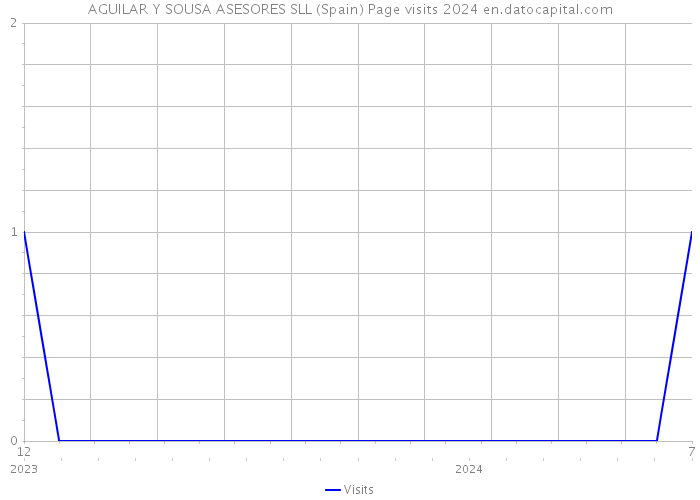 AGUILAR Y SOUSA ASESORES SLL (Spain) Page visits 2024 