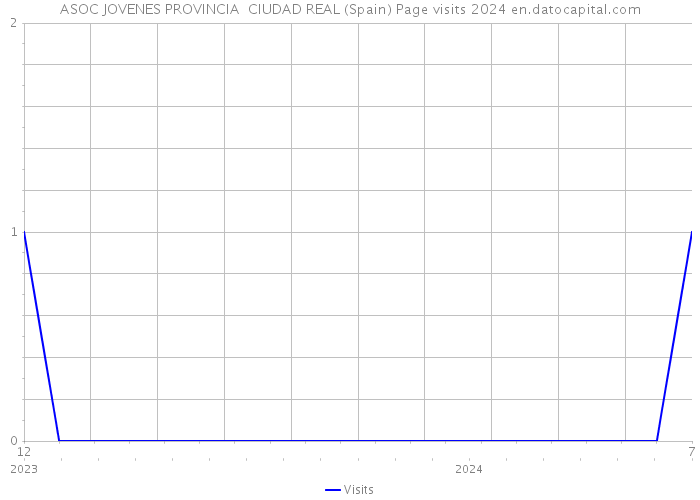 ASOC JOVENES PROVINCIA CIUDAD REAL (Spain) Page visits 2024 