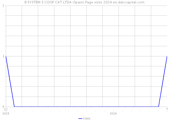 B SYSTEM S COOP CAT LTDA (Spain) Page visits 2024 