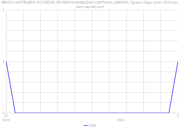 BENZO HOSTELERIA SOCIEDAD DE RESPONSABILIDAD LIMITADA LABORAL (Spain) Page visits 2024 