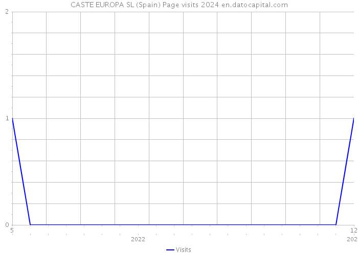 CASTE EUROPA SL (Spain) Page visits 2024 