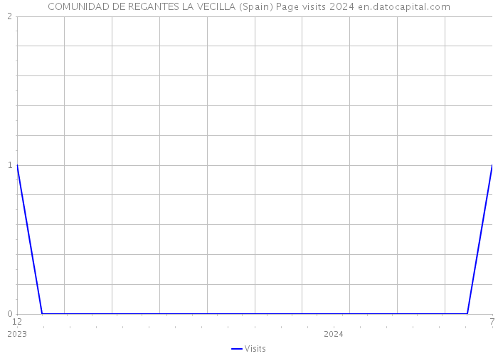 COMUNIDAD DE REGANTES LA VECILLA (Spain) Page visits 2024 