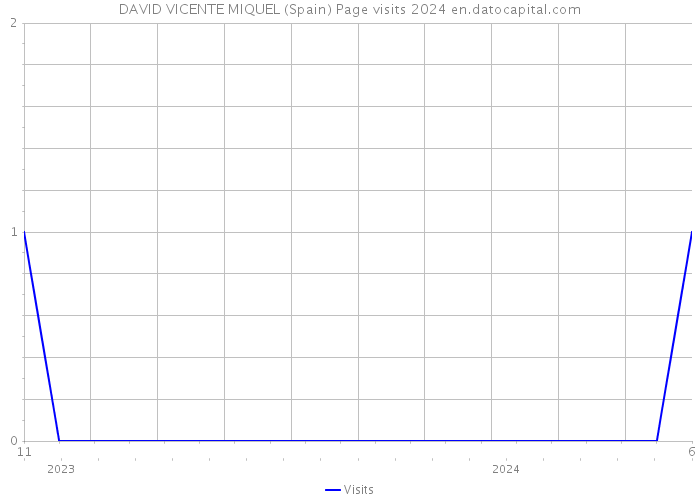 DAVID VICENTE MIQUEL (Spain) Page visits 2024 