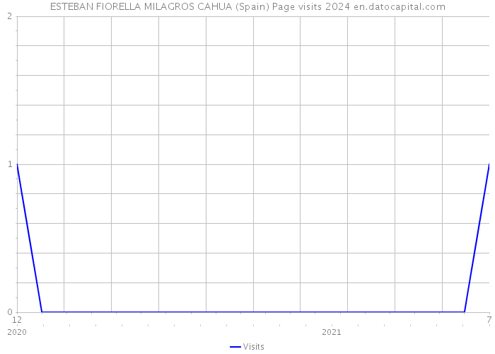 ESTEBAN FIORELLA MILAGROS CAHUA (Spain) Page visits 2024 