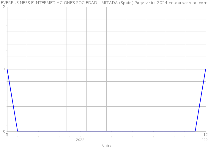 EVERBUSINESS E INTERMEDIACIONES SOCIEDAD LIMITADA (Spain) Page visits 2024 