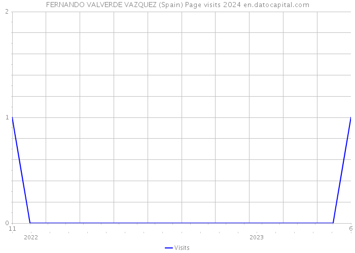 FERNANDO VALVERDE VAZQUEZ (Spain) Page visits 2024 