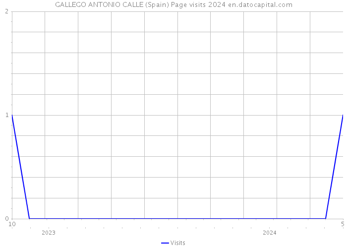 GALLEGO ANTONIO CALLE (Spain) Page visits 2024 