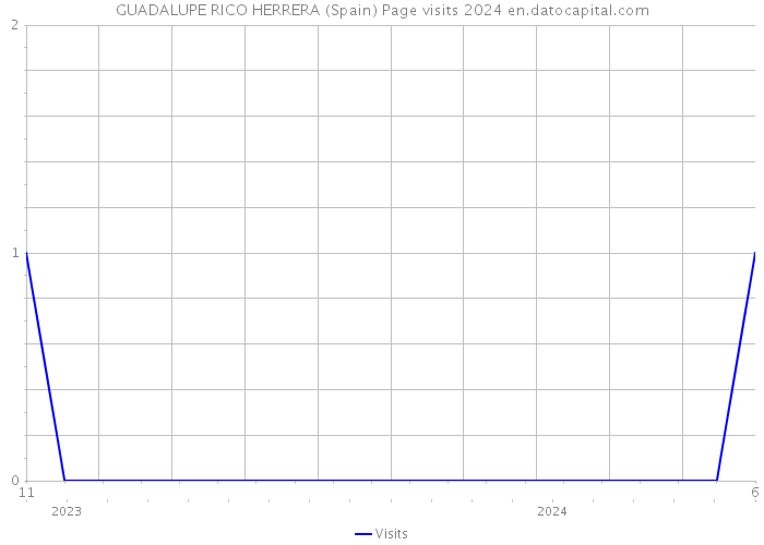 GUADALUPE RICO HERRERA (Spain) Page visits 2024 