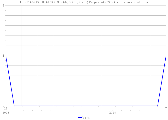 HERMANOS HIDALGO DURAN, S.C. (Spain) Page visits 2024 